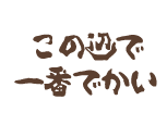 この辺で一番でかい